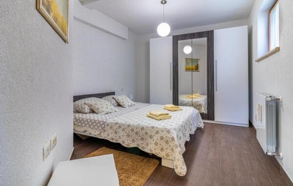 Apartmani Antonio Motovun Exterior foto